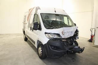 Opel Movano  picture 2