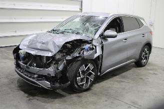 Damaged car BYD Atto 3 2024/1