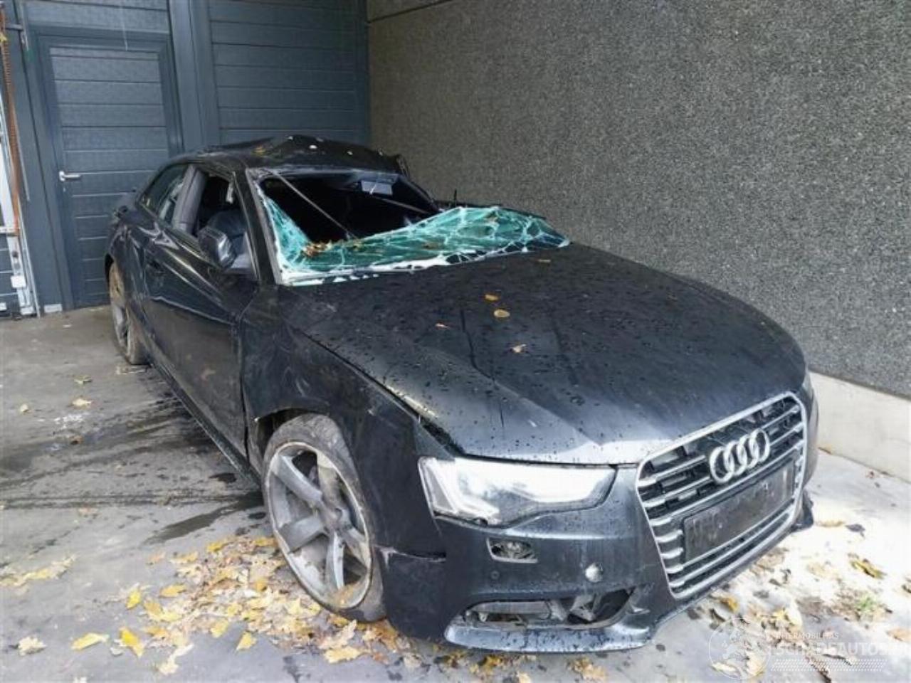 Audi A5 A5 (8T3), Coupe, 2007 / 2017 1.8 TFSI 16V