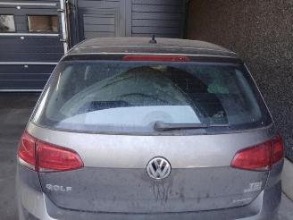 Volkswagen Golf Golf VII (AUA), Hatchback, 2012 / 2021 1.6 TDI 16V picture 11