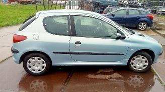 Peugeot 206  picture 4