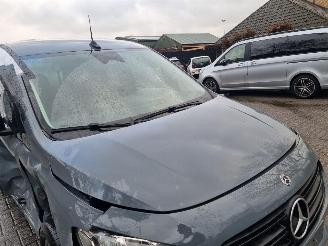 Mercedes Citan Tourer 110 picture 11