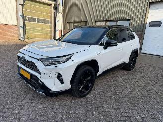 uszkodzony samochody osobowe Toyota Rav-4 2.5 Hybrid AWD Bi-Tone 2019/11