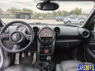 Mini Paceman  picture 15