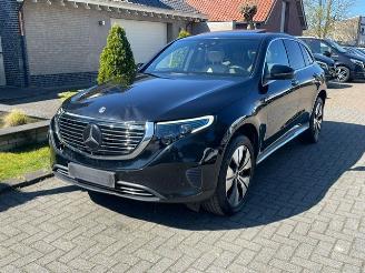 škoda osobní automobily Mercedes EQC 400 4MATIC NAVI CAMERA LEDER LED 2021/3