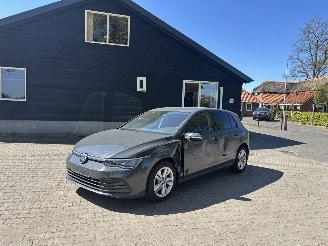  Volkswagen Golf TSI 110 PK NAVI CLIMA CAMERA LED PDC PRIVACY GLASS B.J 04-2023 2023/4