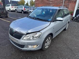 damaged passenger cars Skoda Fabia  2011/1