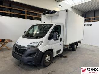 krockskadad bil auto Opel Movano  2022/9