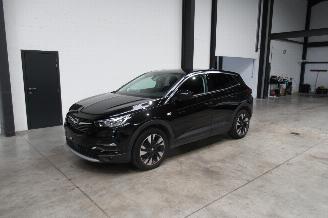 Avarii autoturisme Opel Grandland SUV 2020/9