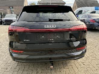 Audi E-tron AUDI e-tron 55 quattro 2020 picture 12