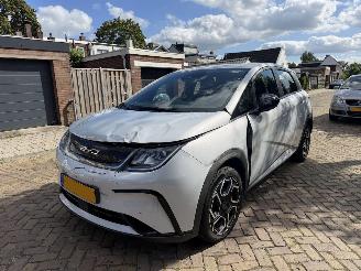 BYD Dolphin Comfort 60.4 kWh NAP picture 2