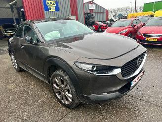 Mazda CX-30 2.0 HYBRIDE picture 1