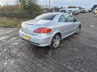 Sloopauto Peugeot 307 CC 2.0 16v 2004/1