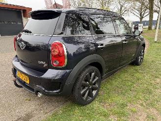 Mini Mini  picture 5