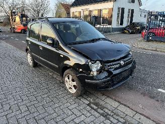 Fiat Panda 1.2 Classic picture 1