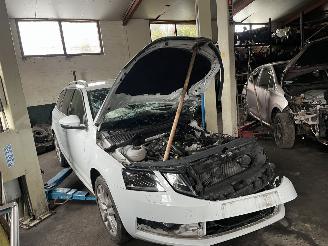 Coche siniestrado Skoda Octavia 1.0 tsi 2019/5