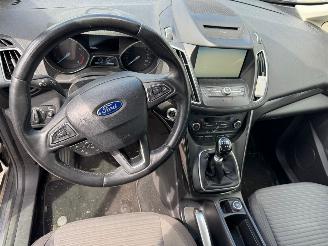 Ford C-Max 1.0 Titanium picture 12