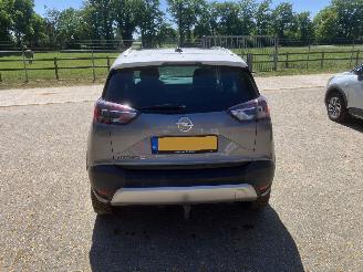 Opel Crossland PANODAK picture 2