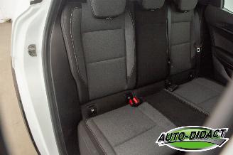 Renault Mégane E-Tech No Active crash mode SOH 95% EV60 Optimum Charge Business Ed. picture 25
