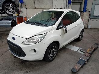 Autoverwertung Ford Ka Ka II Hatchback 1.2 (169.A.4000(Euro 4; Euro 5)) [51kW]  (10-2008/05-2=
016) 2010/7