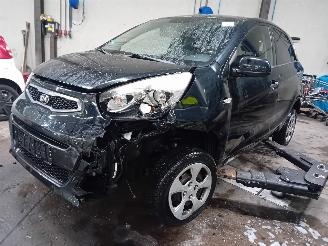 Autoverwertung Kia Picanto Picanto (TA) Hatchback 1.0 12V (G3LA) [51kW]  (05-2011/06-2017) 2015/2