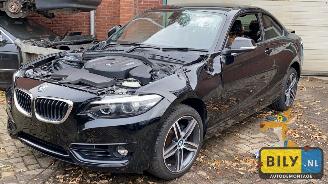 Auto da rottamare BMW  F22 218i 2018/9