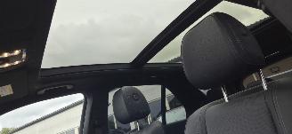 Mercedes GLE AMG picture 13
